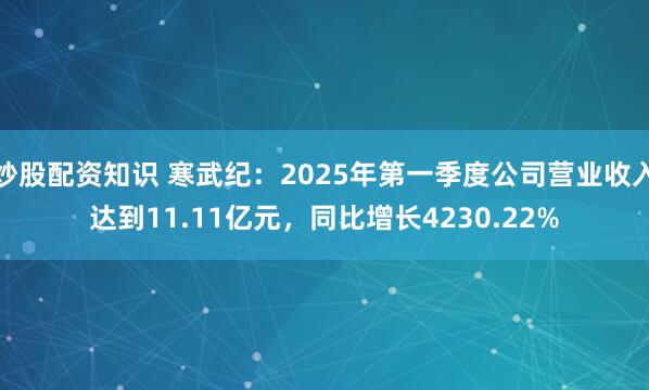 炒股配资知识 寒武纪：2025年第一季度公司营业收入达到11.11亿元，同比增长4230.22%