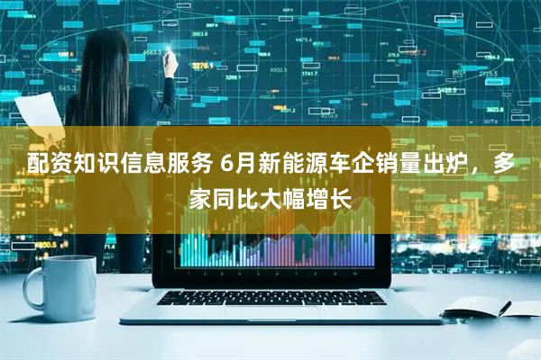 配资知识信息服务 6月新能源车企销量出炉，多家同比大幅增长