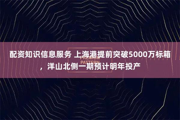 配资知识信息服务 上海港提前突破5000万标箱,洋山北侧一期预计明年投产